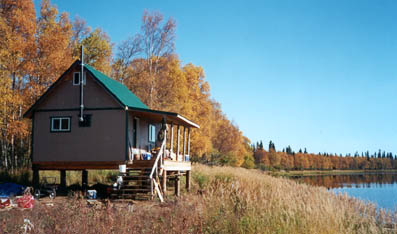 Remote cabins for sale